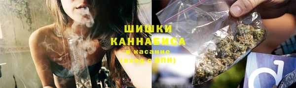 прущие грибы Алзамай