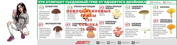 прущие грибы Алзамай