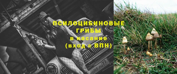 винт Алексин