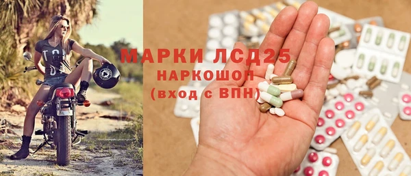 прущие грибы Алзамай