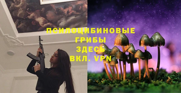 винт Алексин